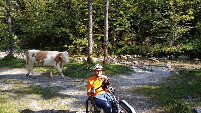 Handbike-Tour durch den Wald