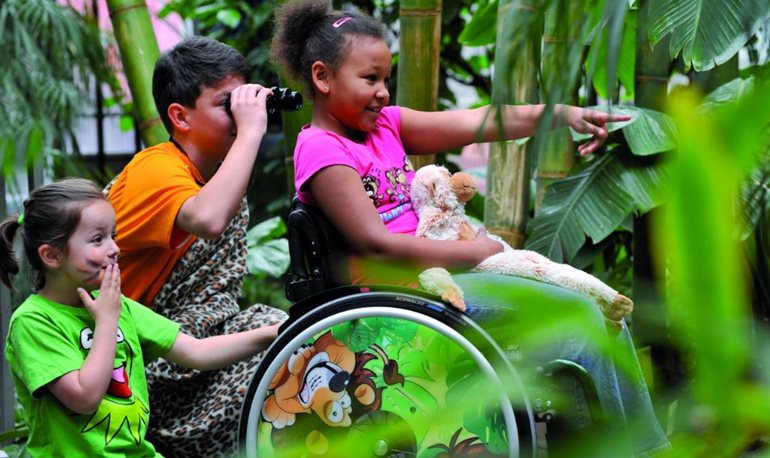 Spielzeug für Kinder mit Behinderung - Zippie Simba Rollstuhl im Park