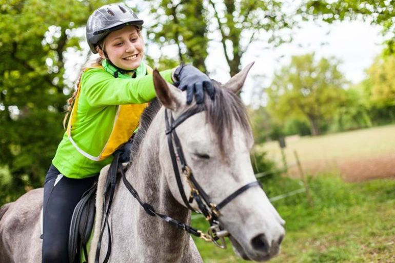 Tiergestützte Therapie mit Pferden