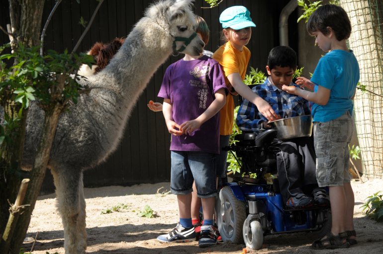 Mit Zippie Salsa Elektrorollstuhl im Zoo