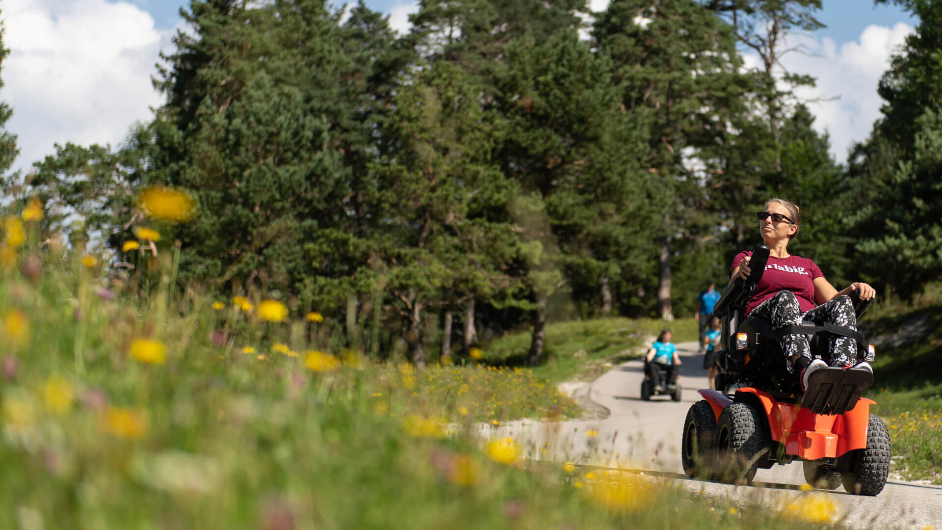 Im Outdoor-Elektrorollstuhl die Natur rund um Heidelberg entdecken!