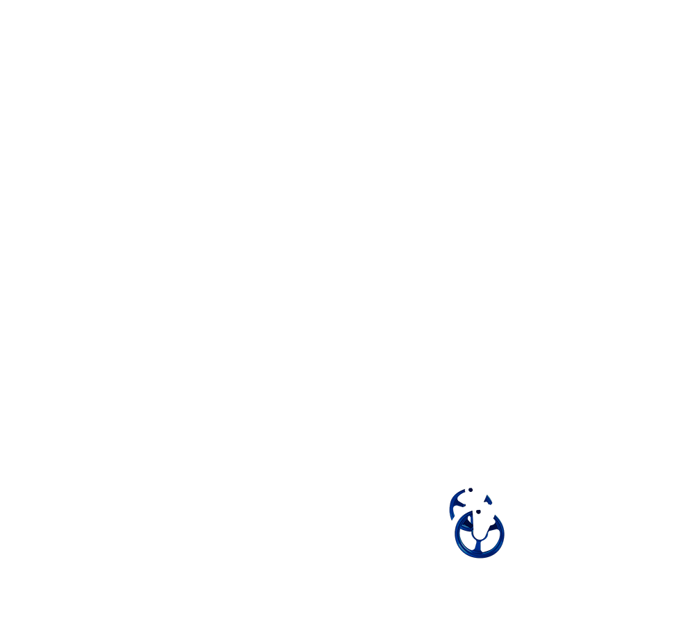 Castor Wheel